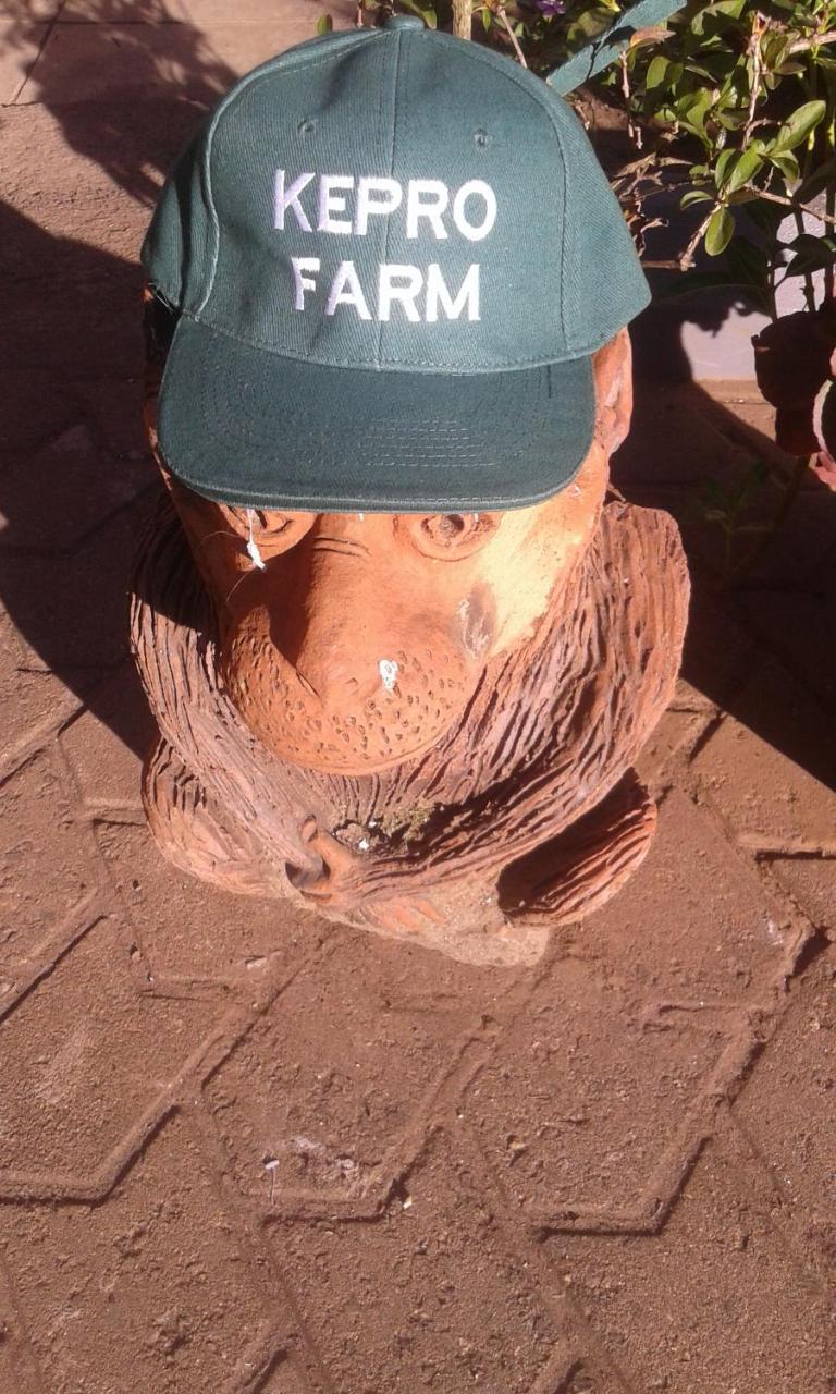 ナイロビKepro Farmアパートメント エクステリア 写真